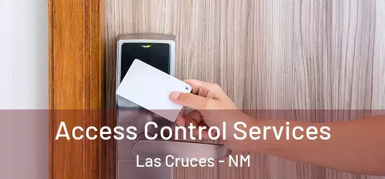  Access Control Services Las Cruces - NM