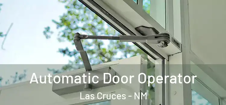  Automatic Door Operator Las Cruces - NM