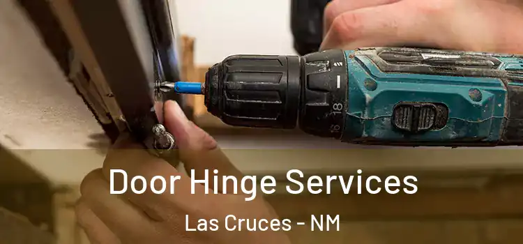  Door Hinge Services Las Cruces - NM