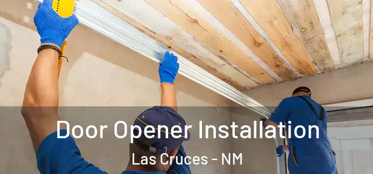  Door Opener Installation Las Cruces - NM