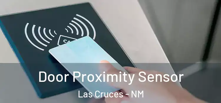  Door Proximity Sensor Las Cruces - NM
