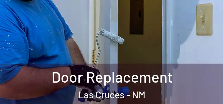  Door Replacement Las Cruces - NM