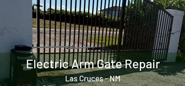  Electric Arm Gate Repair Las Cruces - NM