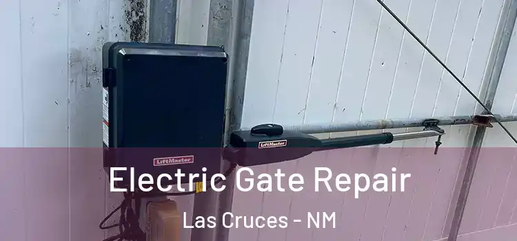  Electric Gate Repair Las Cruces - NM
