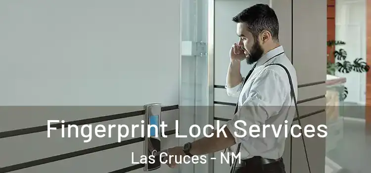  Fingerprint Lock Services Las Cruces - NM
