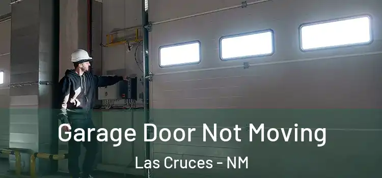  Garage Door Not Moving Las Cruces - NM