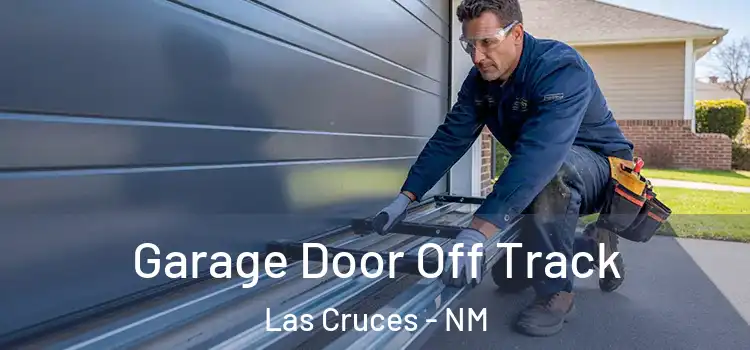  Garage Door Off Track Las Cruces - NM