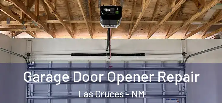  Garage Door Opener Repair Las Cruces - NM