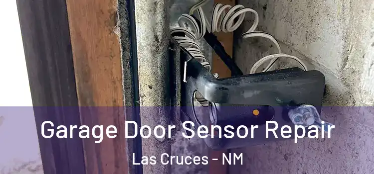  Garage Door Sensor Repair Las Cruces - NM