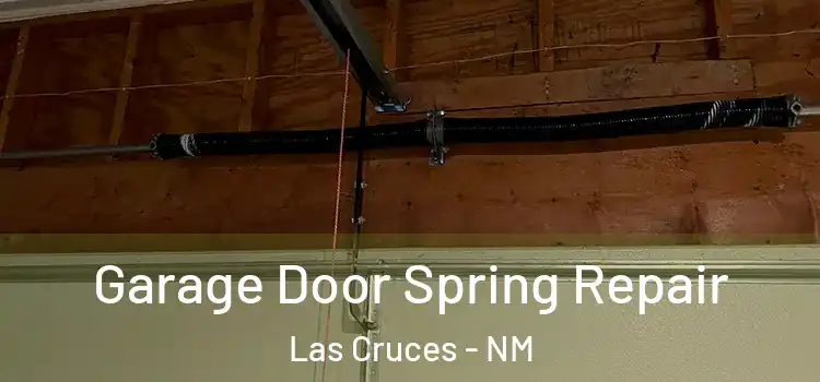  Garage Door Spring Repair Las Cruces - NM