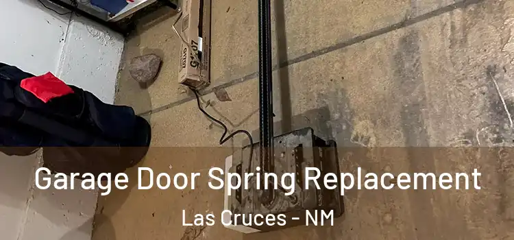  Garage Door Spring Replacement Las Cruces - NM