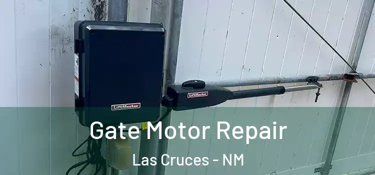  Gate Motor Repair Las Cruces - NM