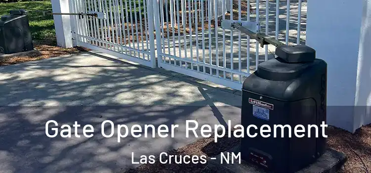  Gate Opener Replacement Las Cruces - NM