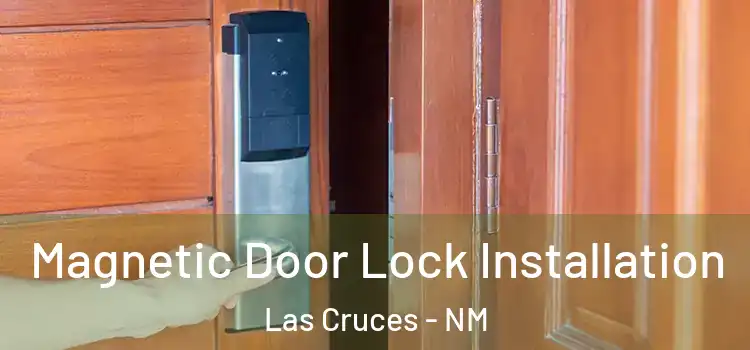  Magnetic Door Lock Installation Las Cruces - NM