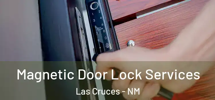  Magnetic Door Lock Services Las Cruces - NM