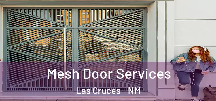  Mesh Door Services Las Cruces - NM