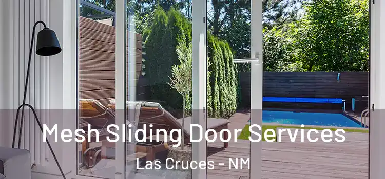  Mesh Sliding Door Services Las Cruces - NM