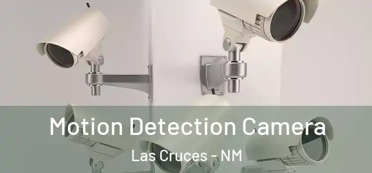  Motion Detection Camera Las Cruces - NM