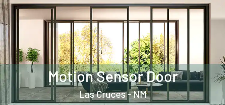 Motion Sensor Door Las Cruces - NM