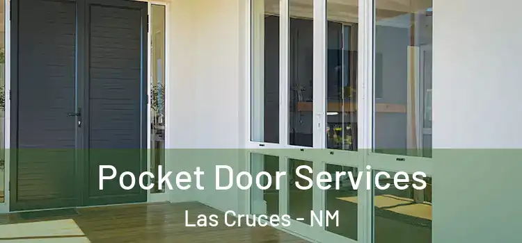  Pocket Door Services Las Cruces - NM