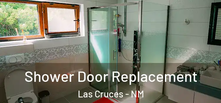 Shower Door Replacement Las Cruces - NM
