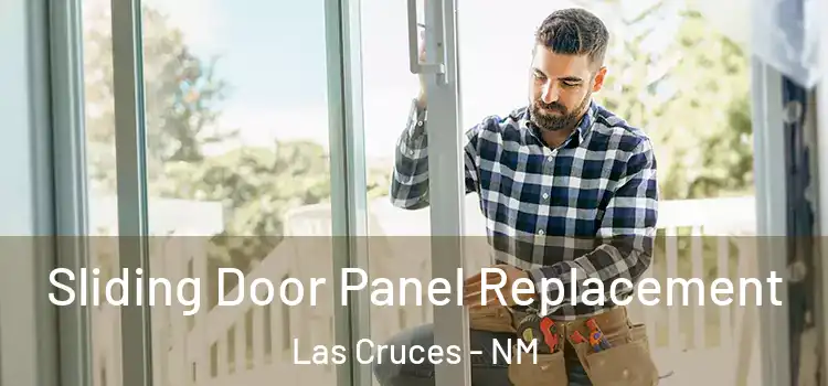  Sliding Door Panel Replacement Las Cruces - NM