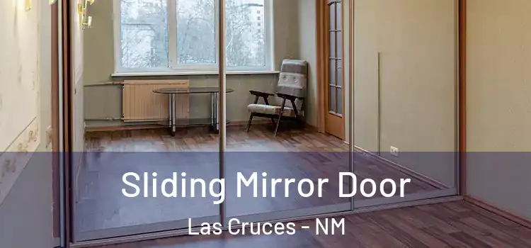  Sliding Mirror Door Las Cruces - NM