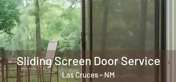  Sliding Screen Door Service Las Cruces - NM