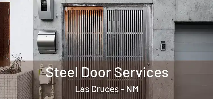  Steel Door Services Las Cruces - NM